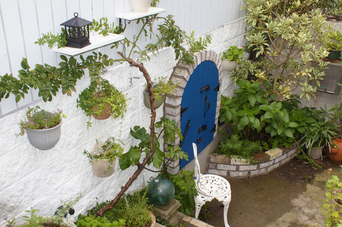 アンティークベア　ガーデン　ガーデニング　ストーン　玄関　エントランス 多肉中年のガーデニング・玄関エントランス編 | CAINZ DIY Square