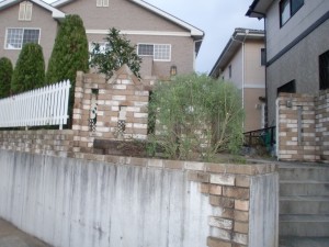 CIMG0015