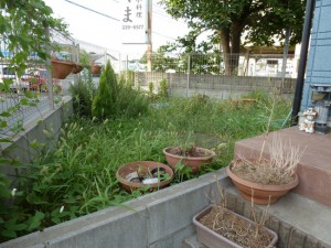 造園工事千葉県鎌ヶ谷市