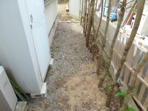 P1010540