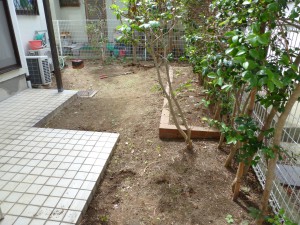 P1010541