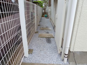 P1010542