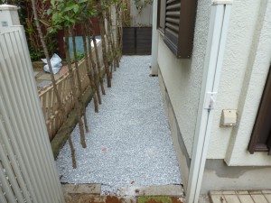 P1010544