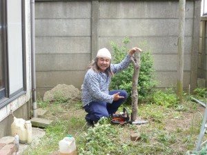 チャドクガ伐採剪定