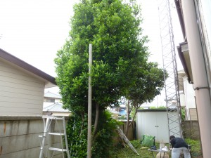 P1010553