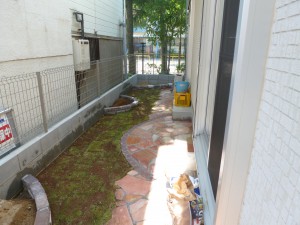 P1010573