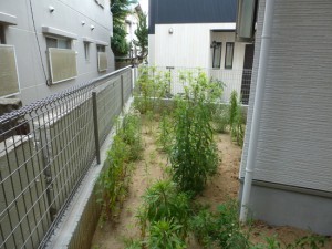 新築造園工事見積りP1010616