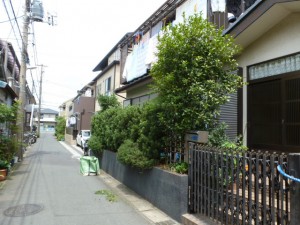 千葉県浦安市剪定年間管理