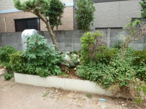 東京都江戸川区リガーデン