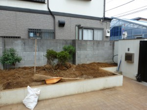 P1010671