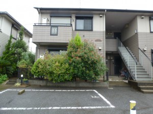 千葉県幕張町枝おろし