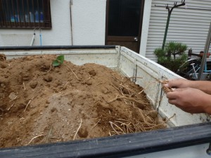 東京江戸川区、造園、リガーデン、