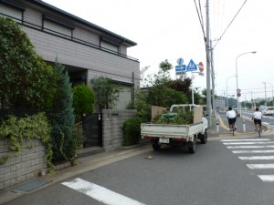 千葉県幕張町、剪定工事