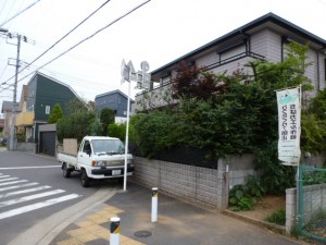 千葉県幕張町、剪定工事