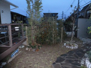 グランドカバー、ヒメイワダレソウ