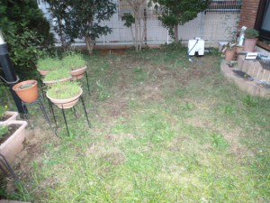 千葉造園、施工前、リガーデン