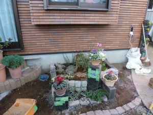 ロックガーデン、ピンコロ