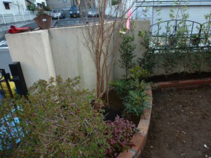 移植、植栽、