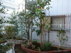 レンガ積み、植栽