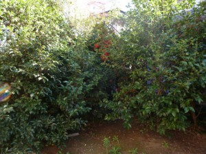 P1020078