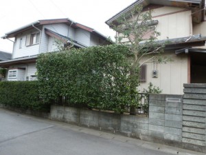 P1020091
