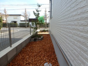 P1020154