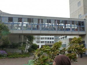 P1020255