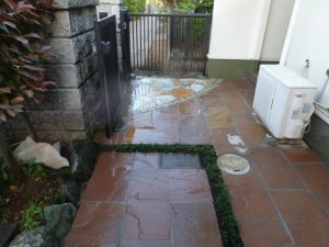P1020303