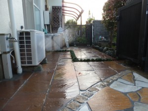 P1020308