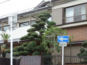 P1020411