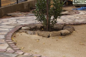 SONY DSC