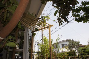 パーゴラ