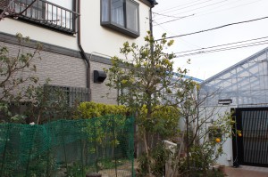 SONY DSC
