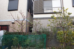 SONY DSC