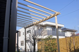 SONY DSC