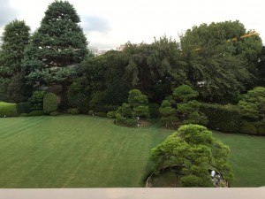 IMG_0817 (1)