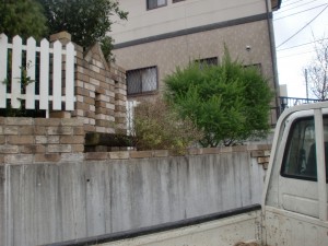 CIMG0008