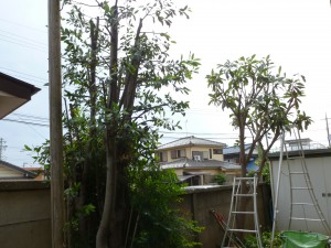 P1010558