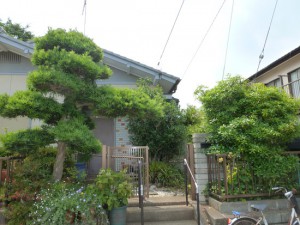 剪定伐採年間管理