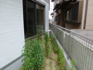 新築造園工事