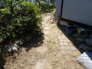 千葉県花見川区幕張町、剪定工事