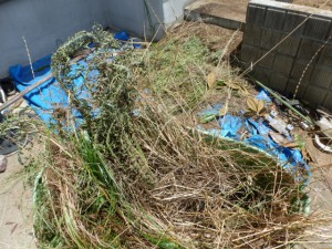 千葉県習志野市造園工事