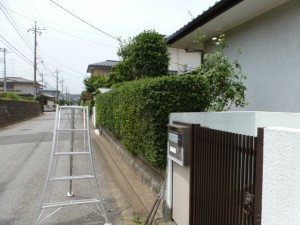 千葉県花見川区年間管理