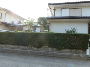 P1010829