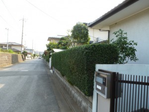 千葉県花見川区年間管理