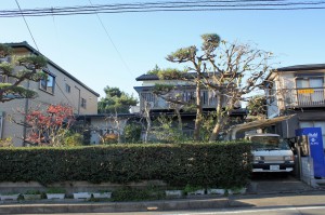 SONY DSC